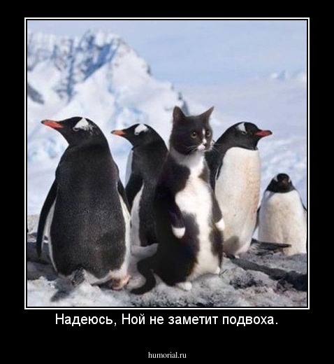 Надеюсь, Ной не заметит подвоха.