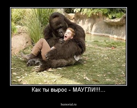 Как ты вырос - МАУГЛИ!!!...