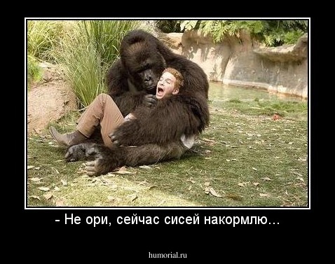 - Не ори, сейчас сисей накормлю...
