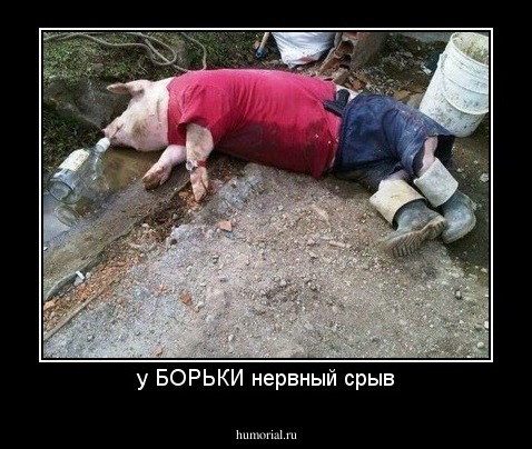 у БОРЬКИ нервный срыв