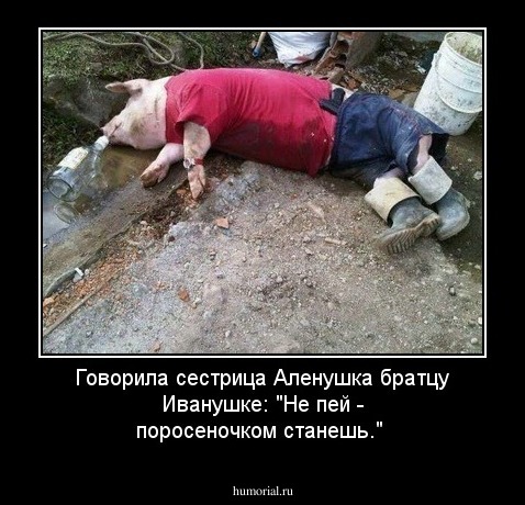 Говорила сестрица Аленушка братцу Иванушке: "Не пей - поросеночком станешь."