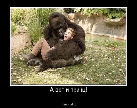 А вот и принц!