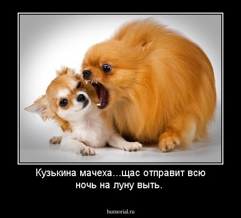 Кузькина мачеха...щас отправит всю ночь на луну выть.