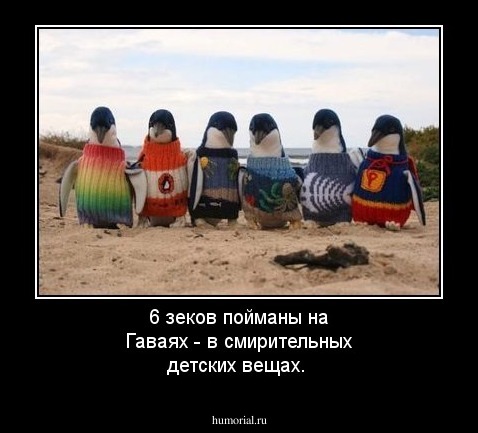 6 зеков пойманы на Гаваях - в смирительных детских вещах.