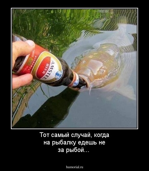 Тот самый случай, когда на рыбалку едешь не за рыбой...
