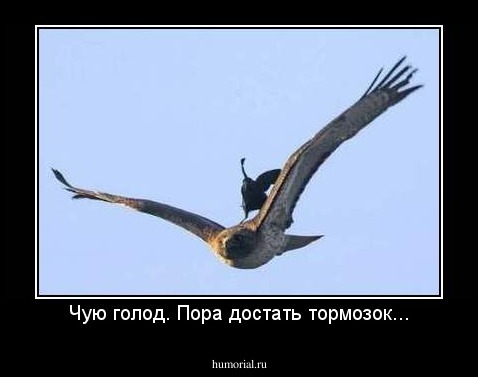 Чую голод. Пора достать тормозок...