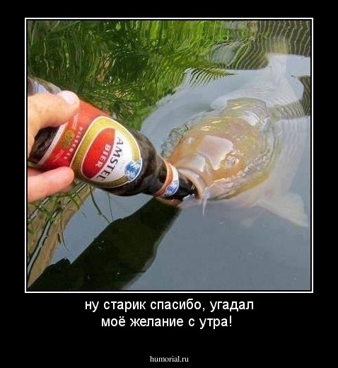 ну старик спасибо, угадал моё желание с утра!