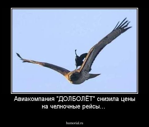Авиакомпания "ДОЛБОЛЁТ" снизила цены на челночные рейсы...
