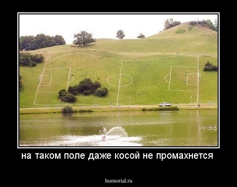на таком поле даже косой не промахнется 