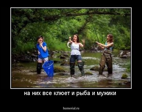на них все клюет и рыба и мужики 