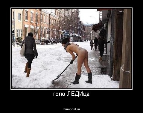 голо ЛЕДИца