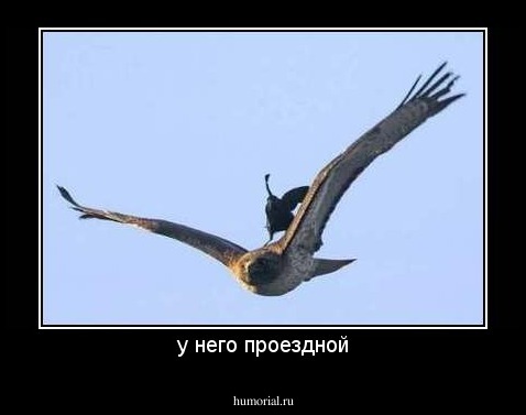 у него проездной