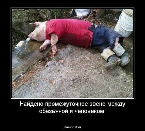 Найдено промежуточное звено между обезьяной и человеком