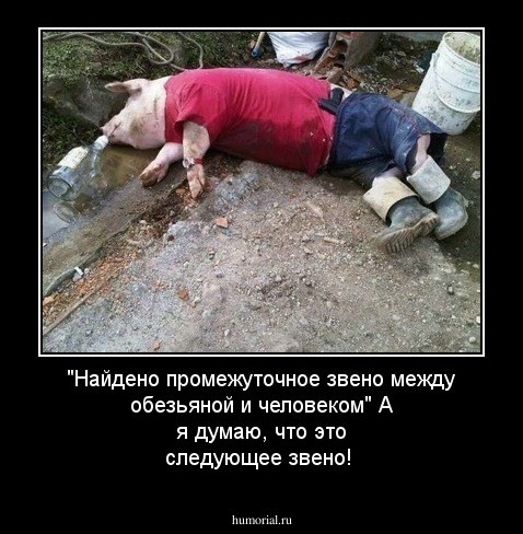  "Найдено промежуточное звено между обезьяной и человеком"
   А я думаю, что это следующее звено!