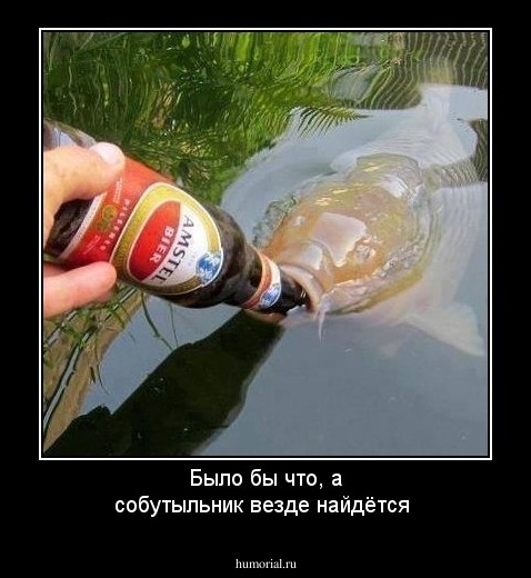 Было бы что, а собутыльник везде найдётся