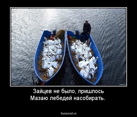 Зайцев не было, пришлось Мазаю лебедей насобирать.