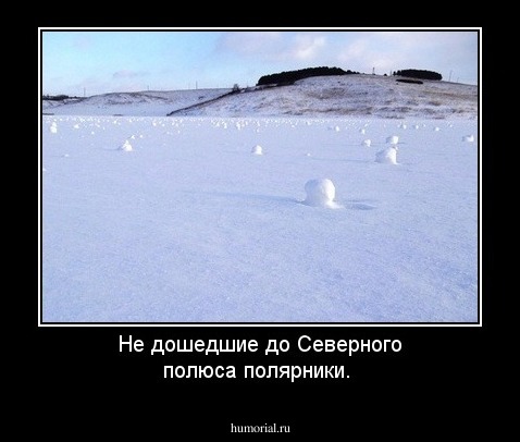 Не дошедшие до Северного полюса полярники.