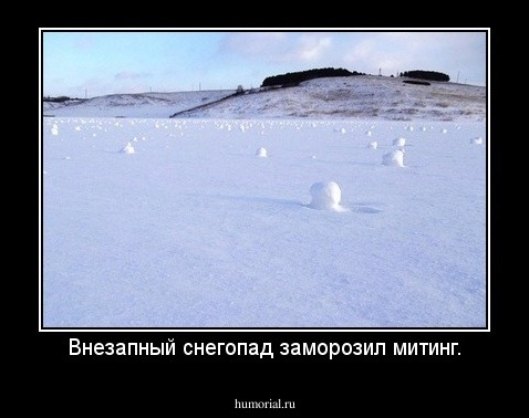 Внезапный снегопад заморозил митинг.