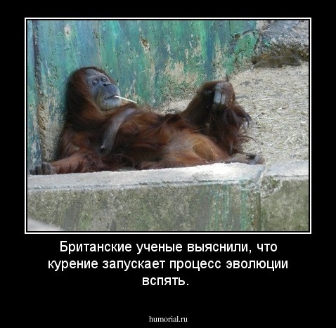 Британские ученые выяснили, что курение запускает процесс эволюции вспять.