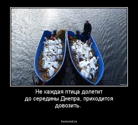 Не каждая птица долетит до середины Днепра, приходится довозить.