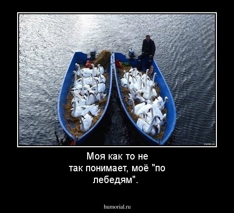 Моя как то не так понимает, моё "по лебедям".