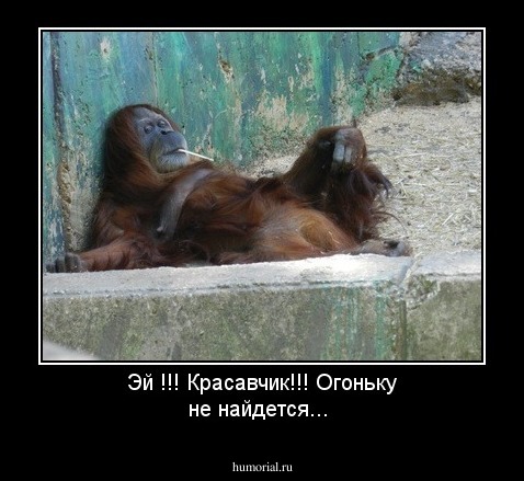 Эй !!! Красавчик!!! Огоньку не найдется...