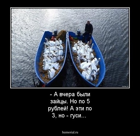 - А вчера были зайцы. Но по 5 рублей! А эти по 3, но - гуси...