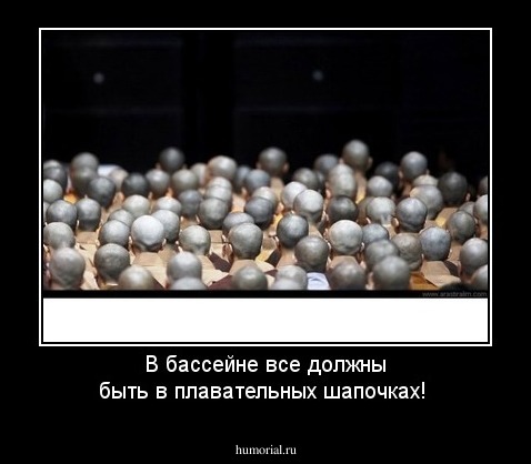 В бассейне все должны быть в плавательных шапочках!