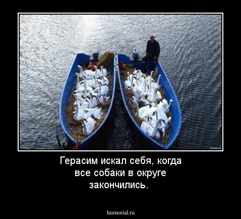 Герасим искал себя, когда все собаки в округе закончились.