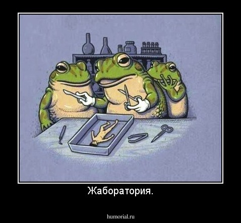 Жаборатория.