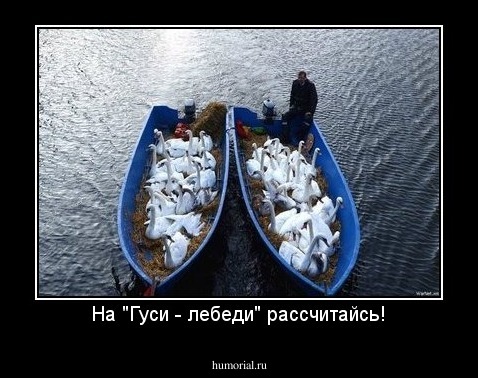 На "Гуси - лебеди" рассчитайсь!
