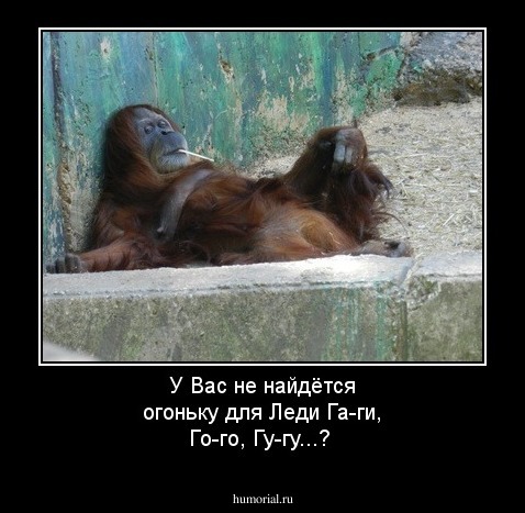 У Вас не найдётся огоньку для Леди Га-ги, Го-го, Гу-гу...?
