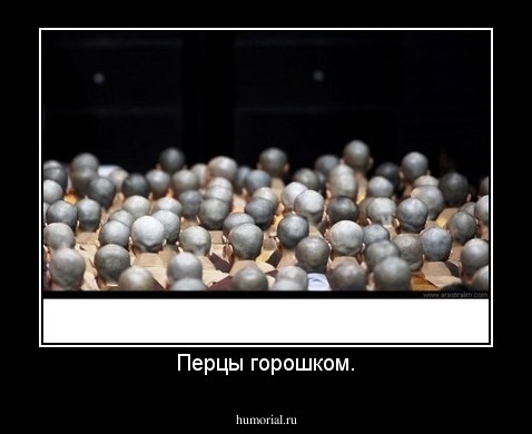 Перцы горошком.