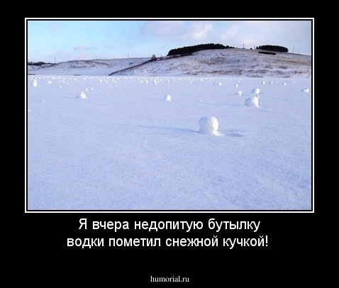 Я  вчера недопитую бутылку водки пометил снежной кучкой!