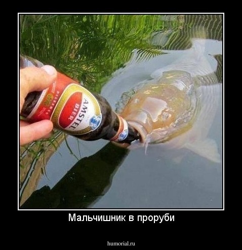 Мальчишник в проруби