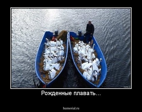 Рожденные плавать...