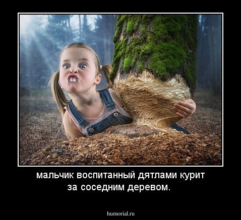 мальчик воспитанный дятлами курит за соседним деревом.