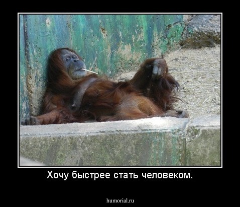 Хочу быстрее стать человеком.