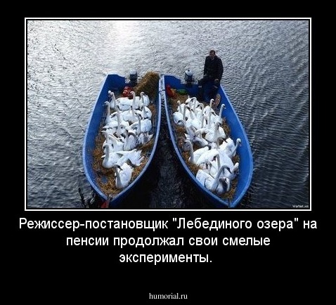 Режиссер-постановщик "Лебединого озера" на пенсии продолжал  свои смелые эксперименты.