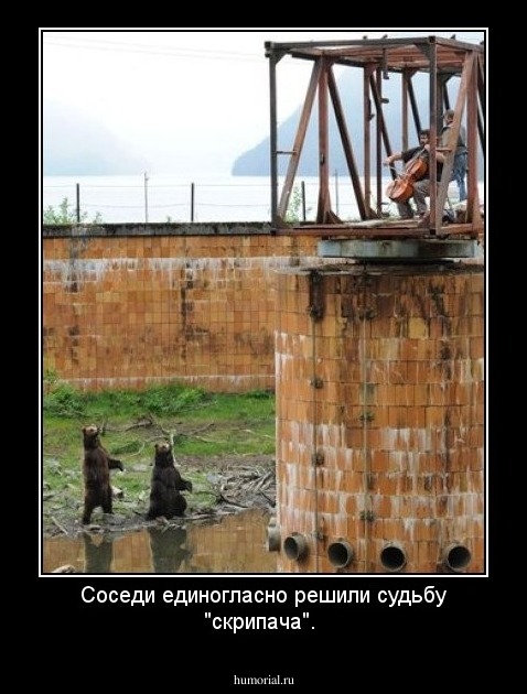 Соседи единогласно решили судьбу "скрипача".