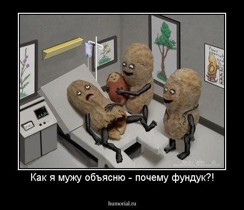 Как я мужу объясню - почему фундук?!