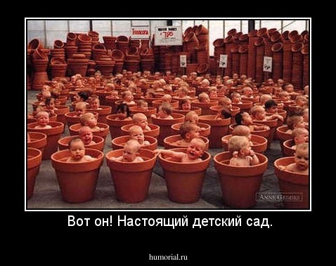 Вот он! Настоящий детский сад.