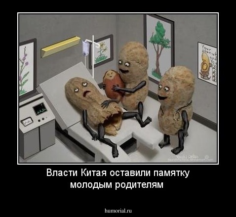 Власти Китая оставили памятку молодым родителям