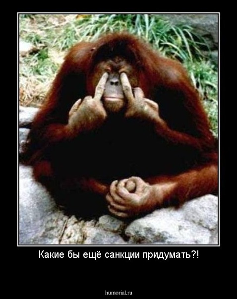 Какие бы ещё санкции придумать?!
