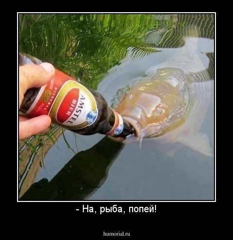 - На, рыба, попей!