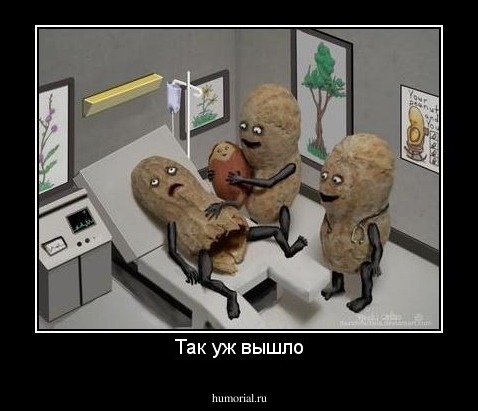 Так уж вышло