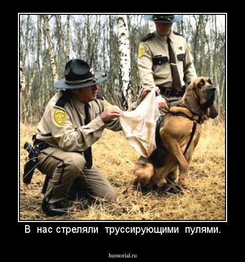В  нас стреляли  труссирующими  пулями.