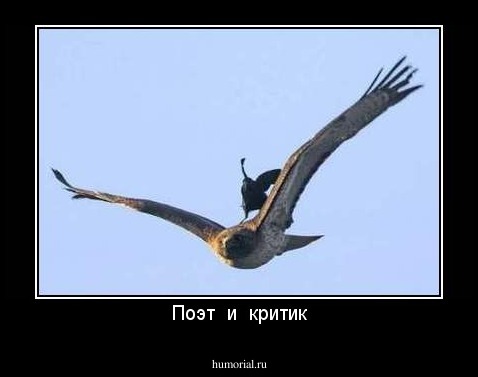 Поэт  и  критик