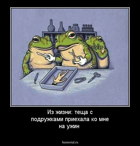 Из жизни: теща с подружками приехала ко мне на ужин