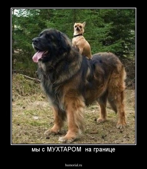 мы с МУХТАРОМ  на границе